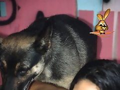 Girl fucked by a dog